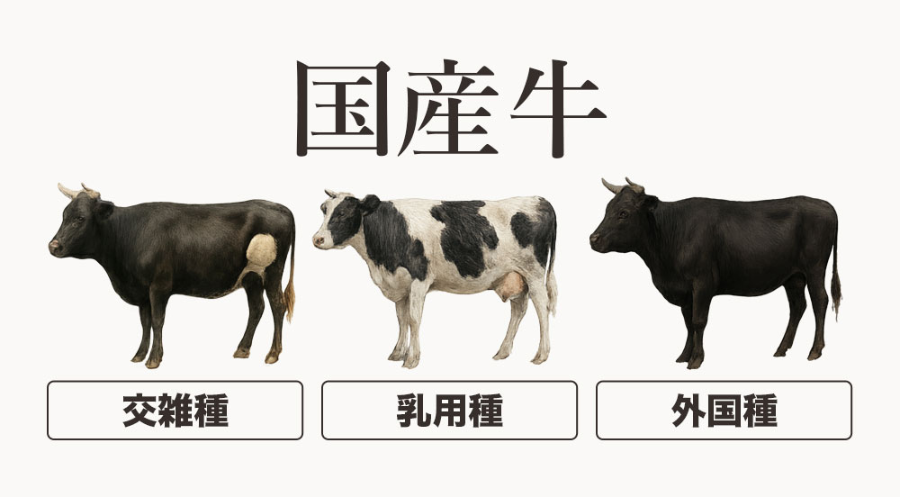 和牛以外の国産牛の種類は主に3種