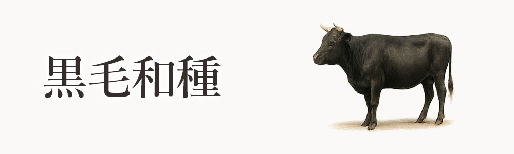 黒毛和種（くろげわしゅ）
