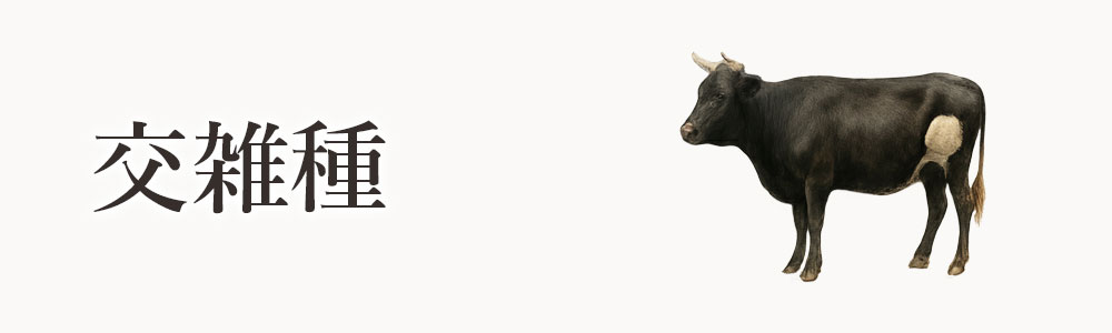 交雑種（こうざつしゅ）