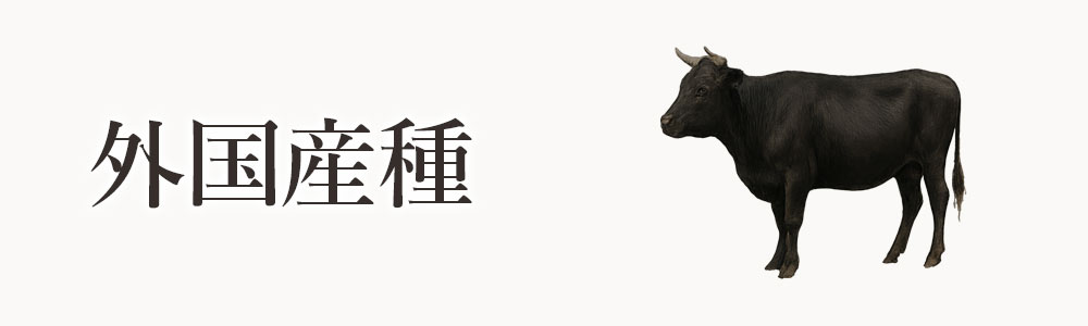 外国産種（がいこくさんしゅ）