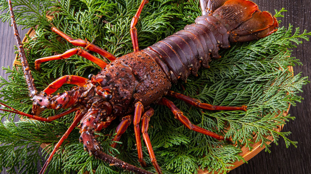 伊勢海老は「不老長寿」の象徴